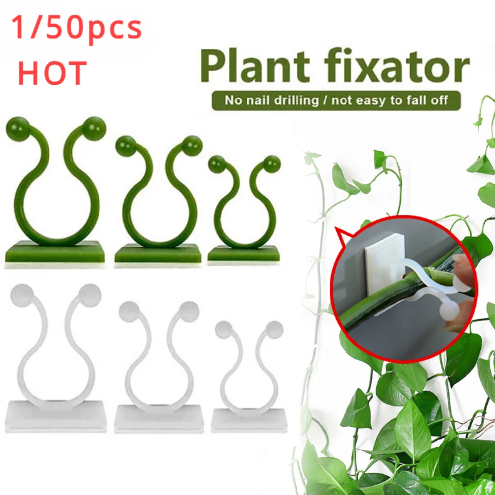Outdoor Lighting Amazon - 1/30/50 pièces pour accessoires de jardin