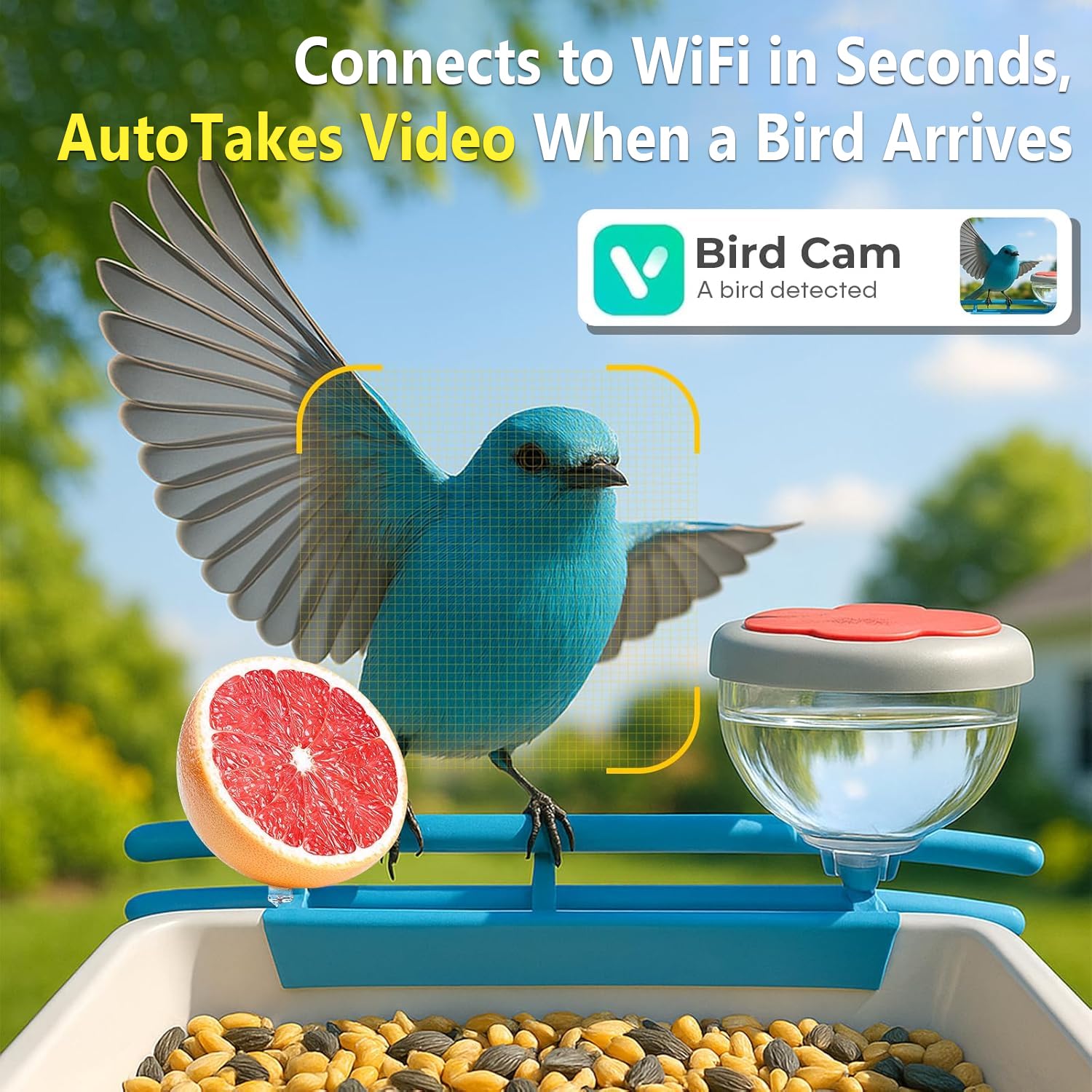 Caméra d'alimentation pour ois - Motion Sensor Outdoor avis et prix